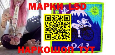 гидра Новодвинск
