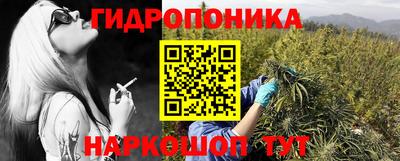 бошки Новокубанск